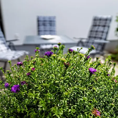 Appartement 2 - Duenenblick Börgerende-Rethwisch Esterno foto