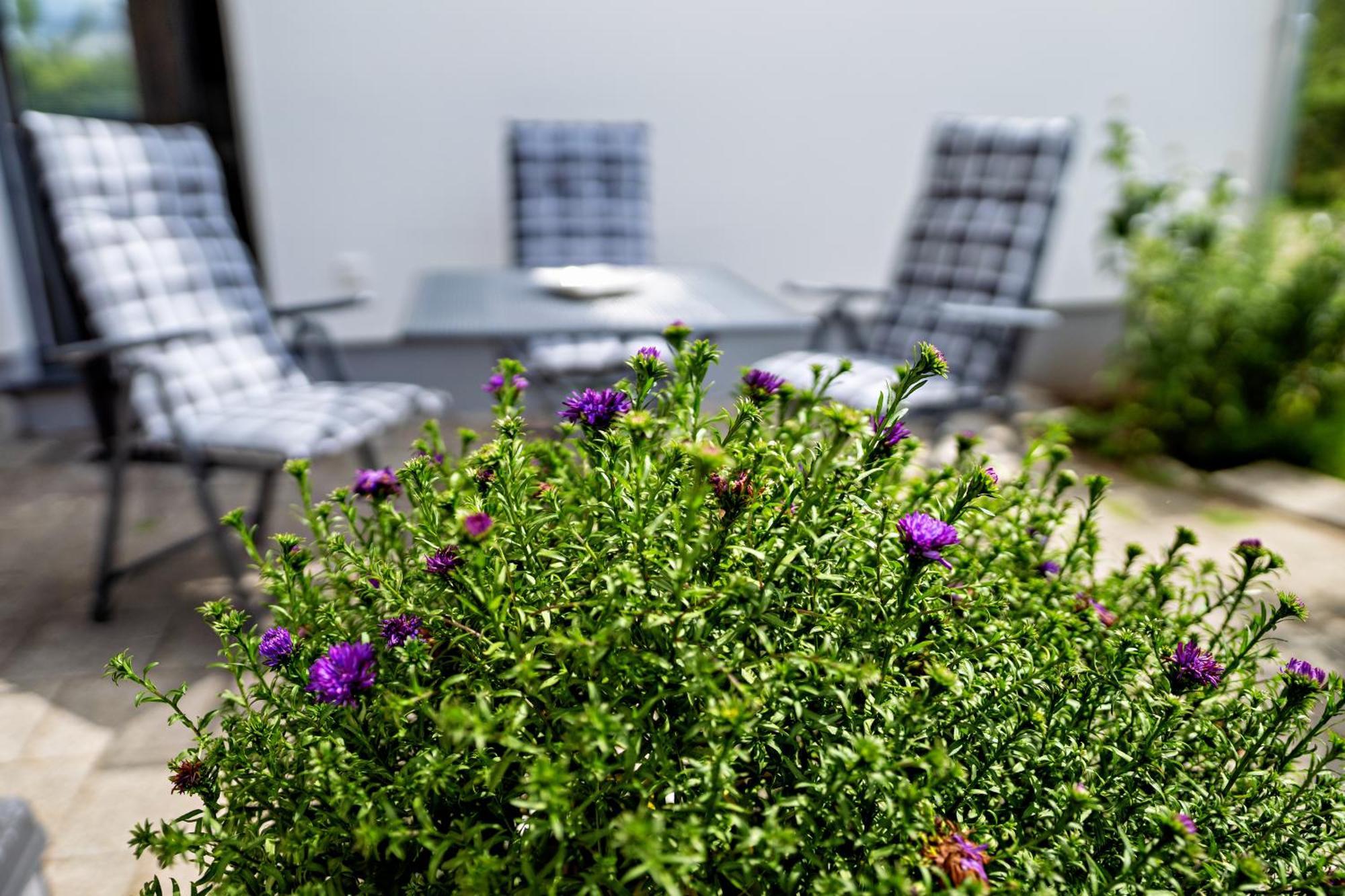 Apartment 2 - Duenenblick *